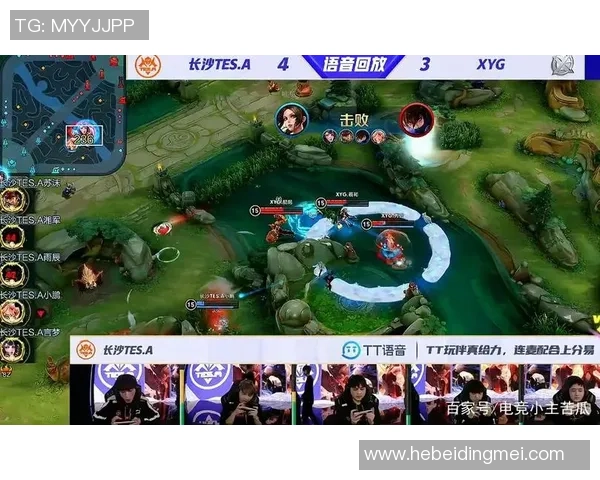 聚焦王者荣耀TES团队协作的成功秘诀与挑战分析